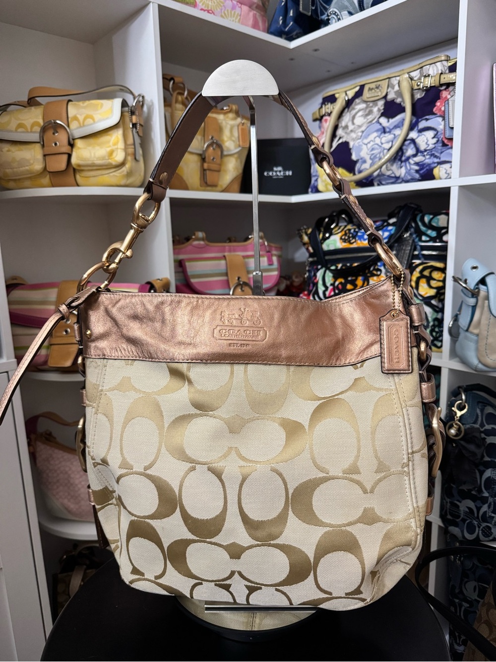 Coach Metallic Zoe Hobo Bag